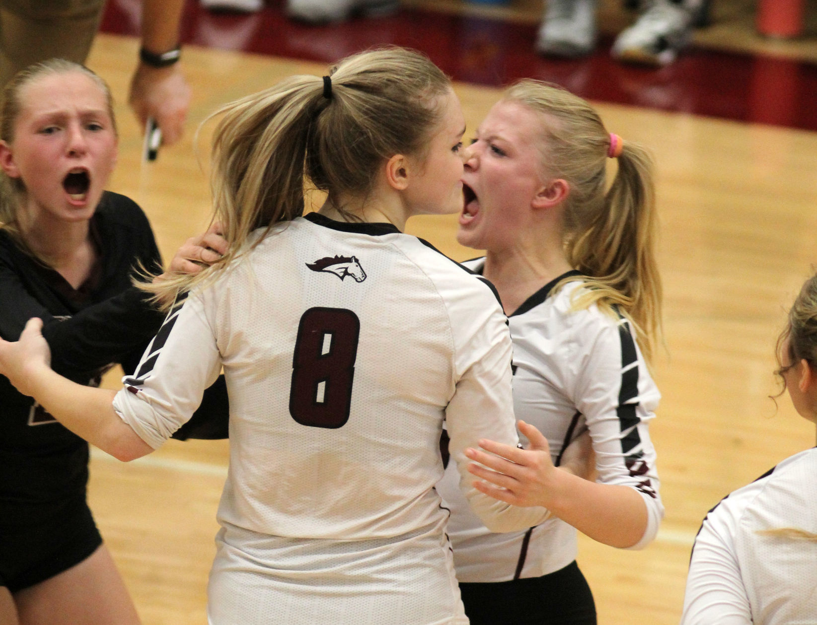Medford at Menomonie volleyball 10-10-19